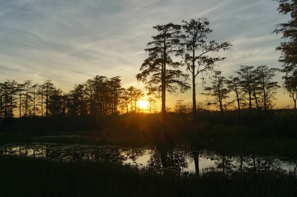 Silueta y reflejos del atardecer del Pantano de Louisiana — Foto de Stock