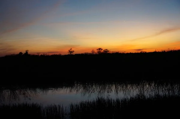 Sonnenuntergang im Sumpf — Stockfoto