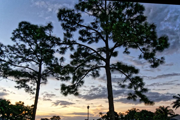Sonnenuntergang auf einem Golfplatz in Florida — Stockfoto