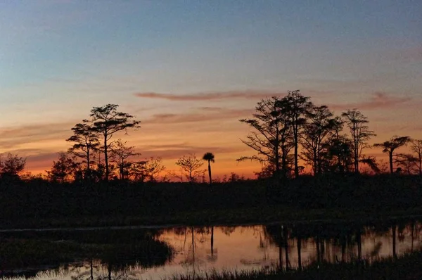 Louisiana Swamp sunset silhouette and reflections — Stock Photo, Image