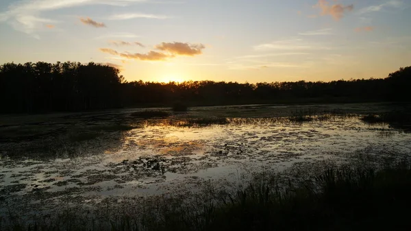Zachód słońca i sylwetki bagien Luizjany — Zdjęcie stockowe