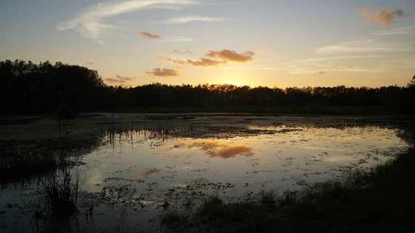 Luisiana pantano puesta de sol y siluetas — Foto de Stock