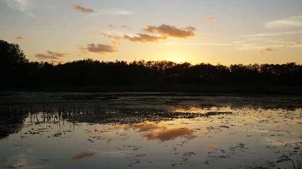 Luisiana pantano puesta de sol y siluetas — Foto de Stock