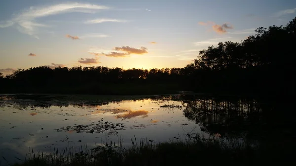 Pôr do sol do pântano da Louisiana e silhuetas — Fotografia de Stock