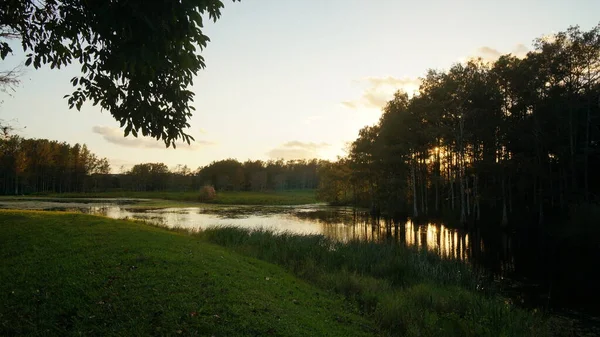 Louisiana Sumpf Sonnenuntergang und Silhouetten — Stockfoto