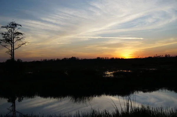 Coucher de soleil dans le marais — Photo