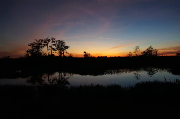 夕阳西下的沼泽 — 图库照片