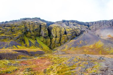 Raudfeldsgja sonbahar yosunlarıyla doludur.