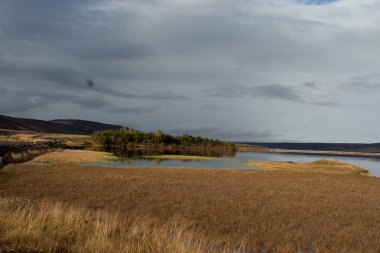 İzlanda 'da göl ve bataklık