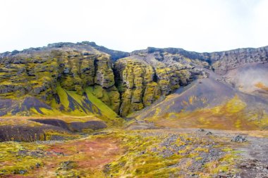 Raudfeldsgja sonbahar yosunlarıyla doludur.