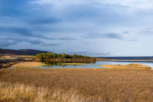 Sjö och kärr i islandet — Stockfoto