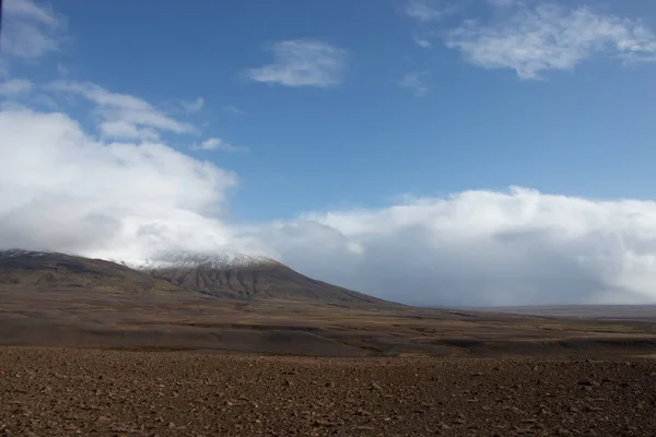 Skaliste pole lawy w Islandii — Zdjęcie stockowe