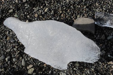 İzlanda 'daki kara kumsalda büyük buzul parçaları.