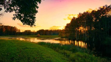 Louisiana bataklık gün batımı ve siluetler