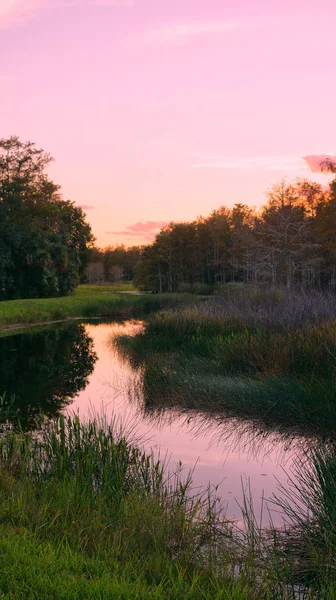 Pôr do sol do pântano da Louisiana e silhuetas — Fotografia de Stock