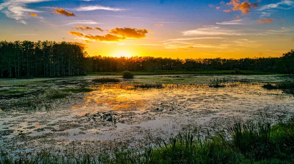 Louisiana bataklık gün batımı ve siluetler — Stok fotoğraf