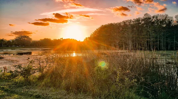 Louisiana träsk solnedgång och silhuetter — Stockfoto
