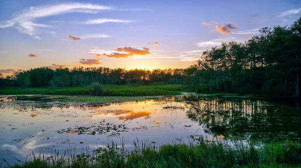 Louisiana Sumpf Sonnenuntergang und Silhouetten — Stockfoto