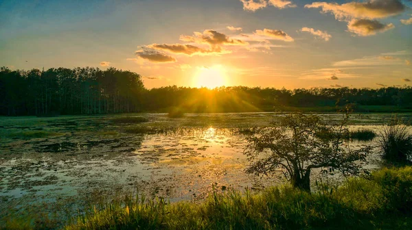 Louisiana swamp sunset and silhouettes — Stock Photo, Image