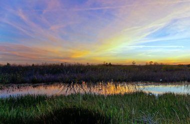 Louisiana Bataklığı Gün batımı silueti ve yansımaları