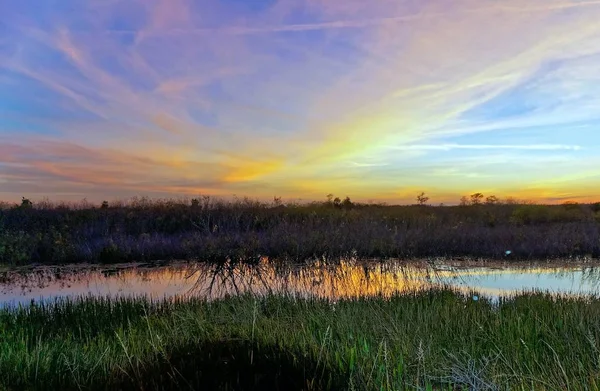 Louisiana Sílhueta do pôr do sol do pântano e reflexões — Fotografia de Stock