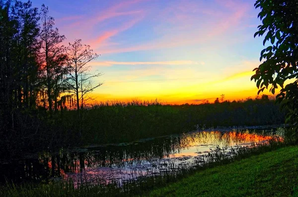 Louisiana Sílhueta do pôr do sol do pântano e reflexões — Fotografia de Stock