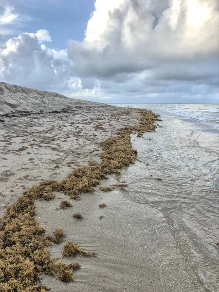 Erosie van zand op het strand in Florida — Stockfoto