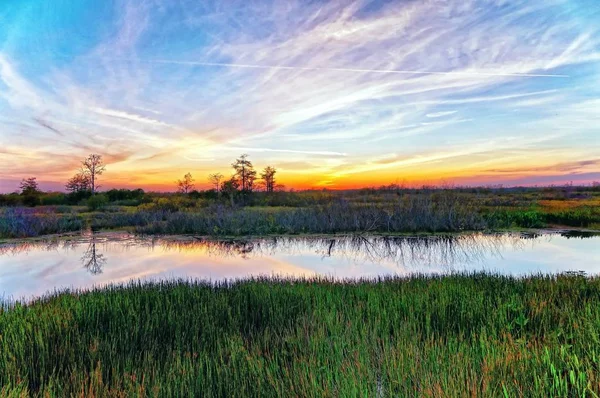 Pôr do sol do pântano da Louisiana e silhuetas — Fotografia de Stock