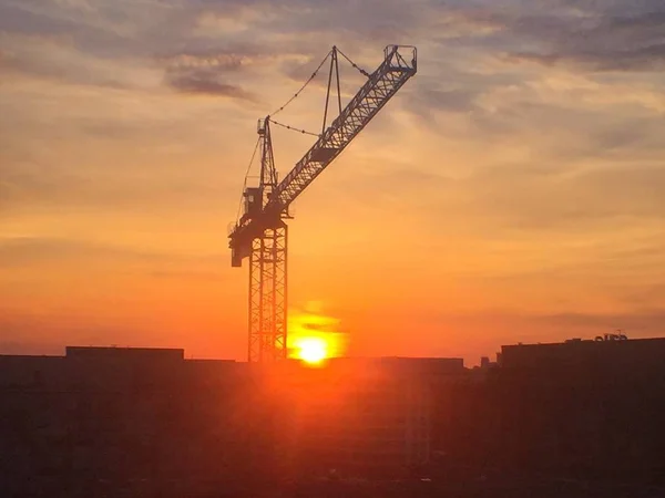 Construction crane landscape digital landscape — Stock Photo, Image