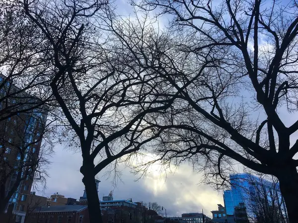 Winter city scene at dawn — 스톡 사진