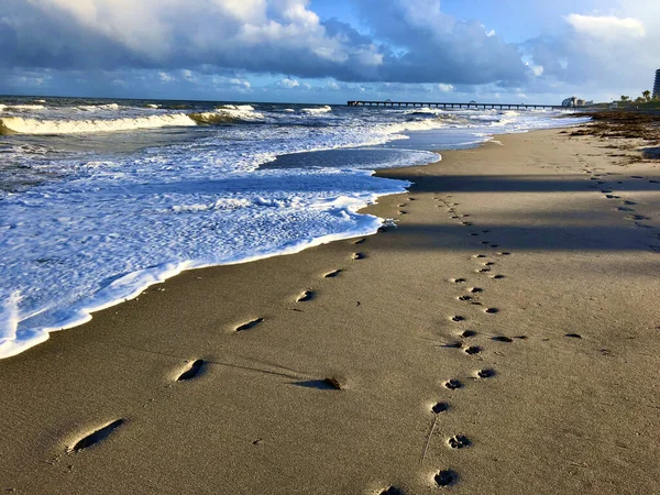 Mousse de mer et empreintes de pas sur la plage — Photo