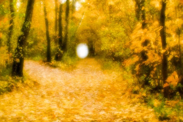 Розмитий осінній пейзажний підсвічування з деревами, опале жовте листя і м'яке світло . — стокове фото