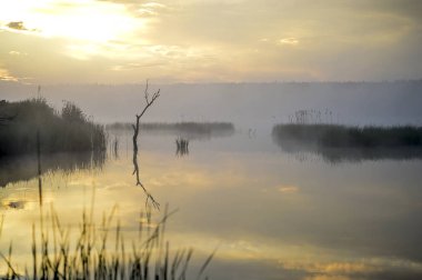 Sabah sis göl güneş