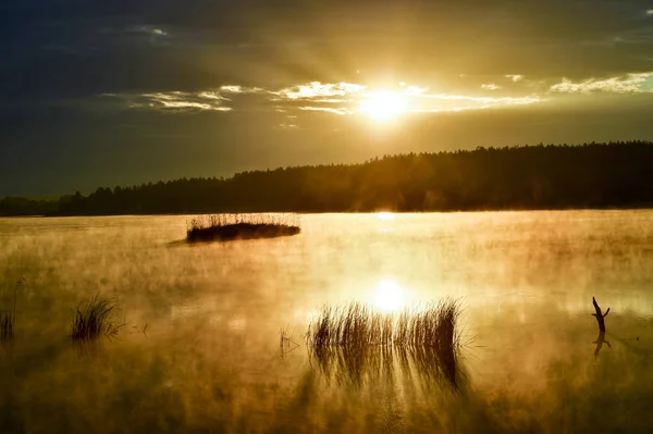 Névoa da manhã no lago ao sol — Fotografia de Stock