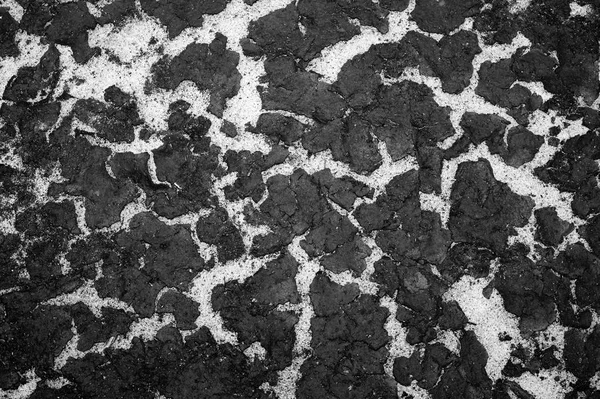 The texture of the bottom of the reservoir sand and the accumulation of silt on top. Background. Black and white image — Stock Photo, Image