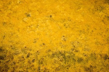 Doku soyutlama su ve yosun süzülmüş bir su birikintisi dibinde