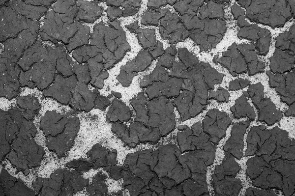 Texture Bottom Reservoir Sand Accumulation Silt Top Background Black White — Stock Photo, Image