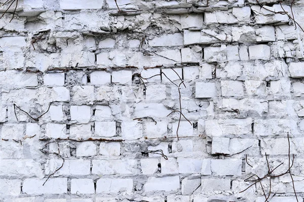 Part of the wall of white brick with pieces of rebar of an old building for demolition. Black and white image.