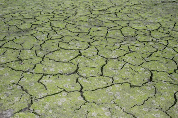 Textura Rachamento Terra Conceito Utilização Dos Recursos Naturais — Fotografia de Stock