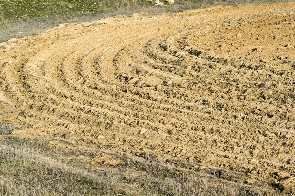 Plowed for sowing the land on the farming plot. Stock Image