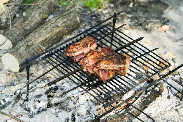 Carne en un pincho y la rejilla, cocinado sobre un fuego abierto en la parrilla. Camping cocina en la naturaleza . — Foto de Stock