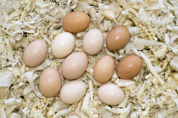 Uova di pollo in un nido di trucioli di legno leggeri . — Foto Stock