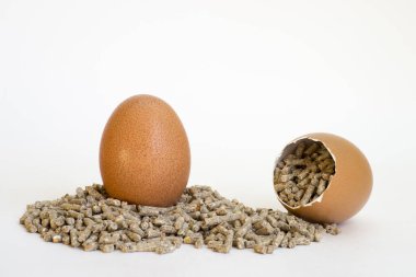 Tavuklu kahverengi benekli yumurta kuru yiyecek topaklarının içinde yumurtanın kabuğu. Tavuklar tarafından tüketilen gıdalardan elde edilen faydaların içeriği.
