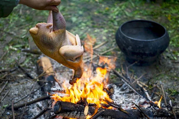Tourist Roasts Whole Chicken Open Fire Further Cooking Cast Iron — Stockfoto
