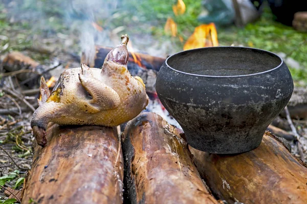 Chicken Lies Wood Cooking Open Fire Retro Pan Concept Field — Stockfoto