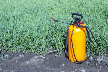 Yeşil filizli arka planda turuncu balon ve hortumla ıslat. Uzayı kopyala Arkaplan.
