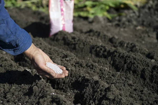 Mâna Unei Femei Fermier Deține Mână Granule Îngrășăminte Albe Pat — Fotografie, imagine de stoc