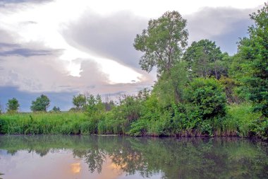 Nehrin parlak yeşil kıyı bitkilerine sahip pastel renklerinin yaz akşamı manzarası. Doğal arkaplan.