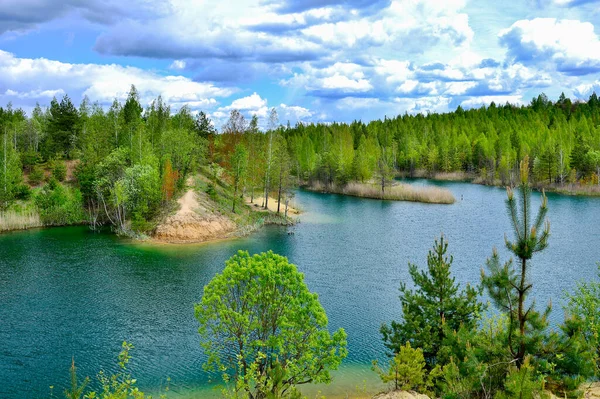 Berrak suyla gölün renkli yaz manzarası. Mavi gökyüzünün turkuaz rengi ve parlak yeşil bir ormanı olan pitoresk kıyılar. Arkaplan.