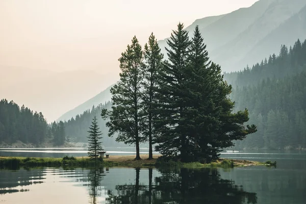 Sedir ağaçları boyunca Banff iki Jack gölde yansımaları ile